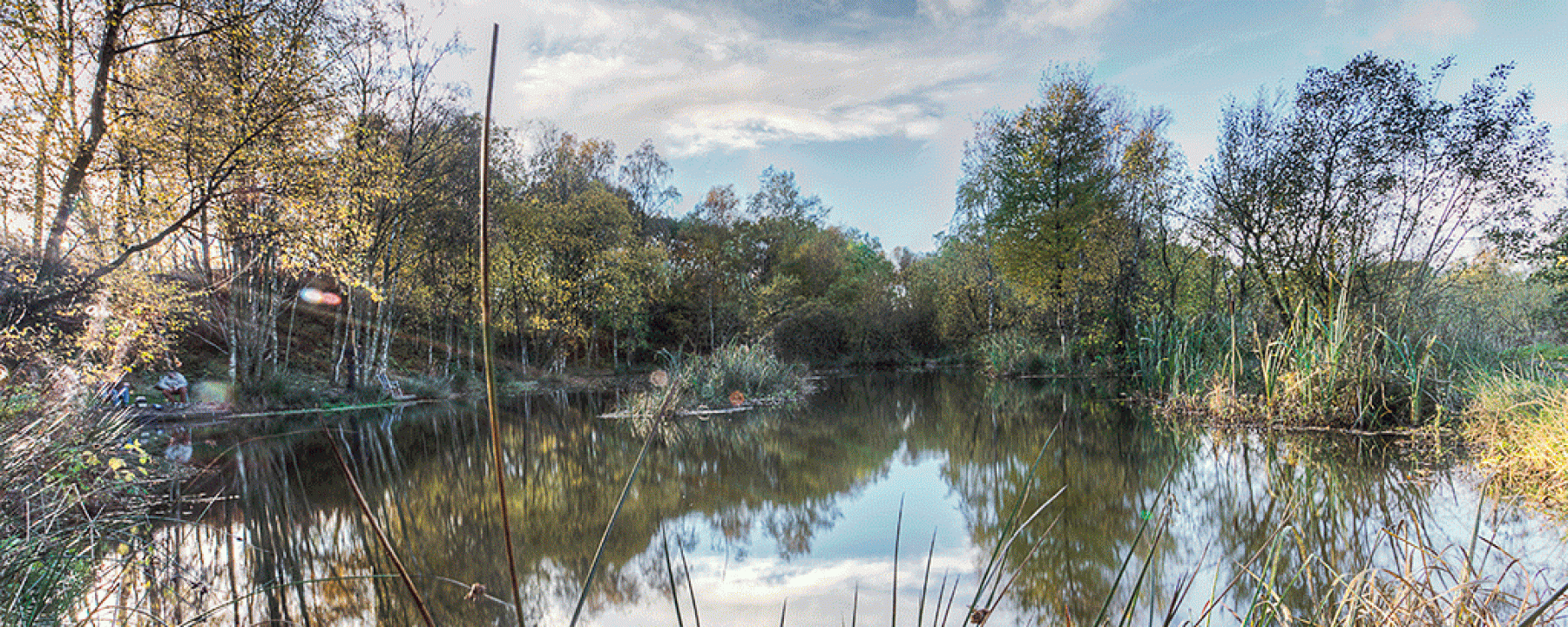 A picture of the secluded Birch Ponds at Magiscroft Fishery